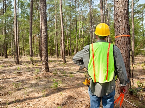 GETAC应用于林木资源调查的加固计算机优选解决方案